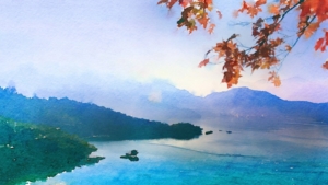 子頁banner