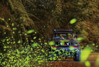 FireShot Capture 170 - -
